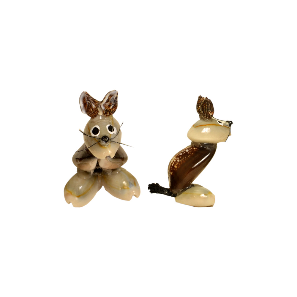 ΠΟΝΤΙΚΑΚΙ ΑΠΟ ΚΟΧΥΛΙΑ