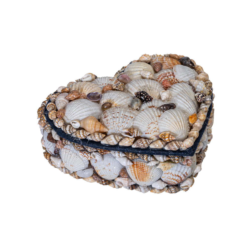 ΜΠΙΖΟΥΤΙΕΡΑ ΚΑΡΔΙΑ 5"