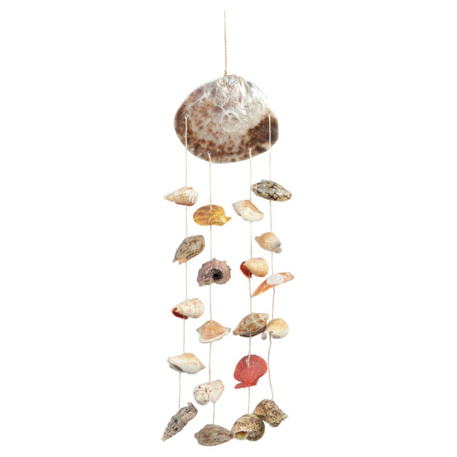 ΚΡΕΜΑΣΤΟ ΜΕ ΚΟΧΥΛΙΑ