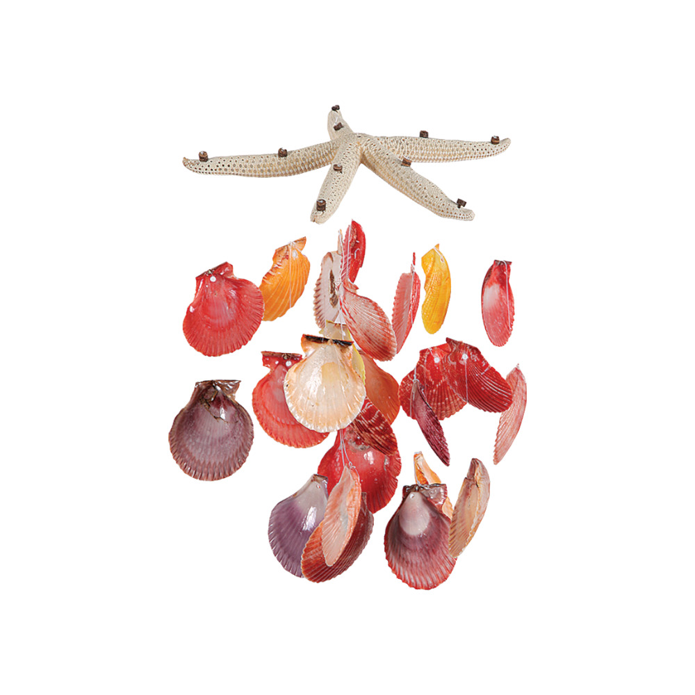 ΚΡΕΜΑΣΤΟ ΜΕ ΑΣΤΕΡΙΑ ΔΑΧΤΥΛΟ ΚΑΙ ΚΟΧΥΛΙΑ