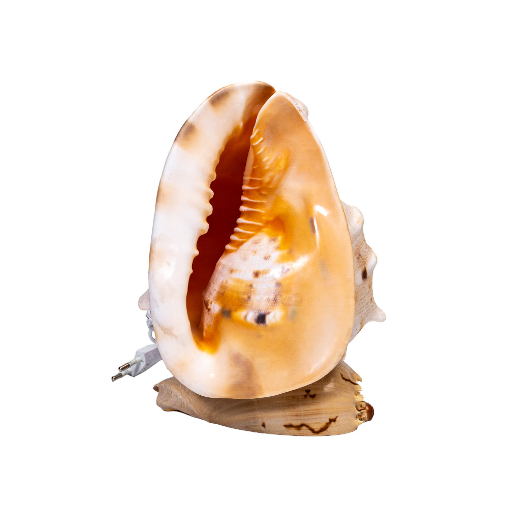 ΠΟΡΤΑΤΙΦ ΚΟΧΥΛΙ CORNUTA