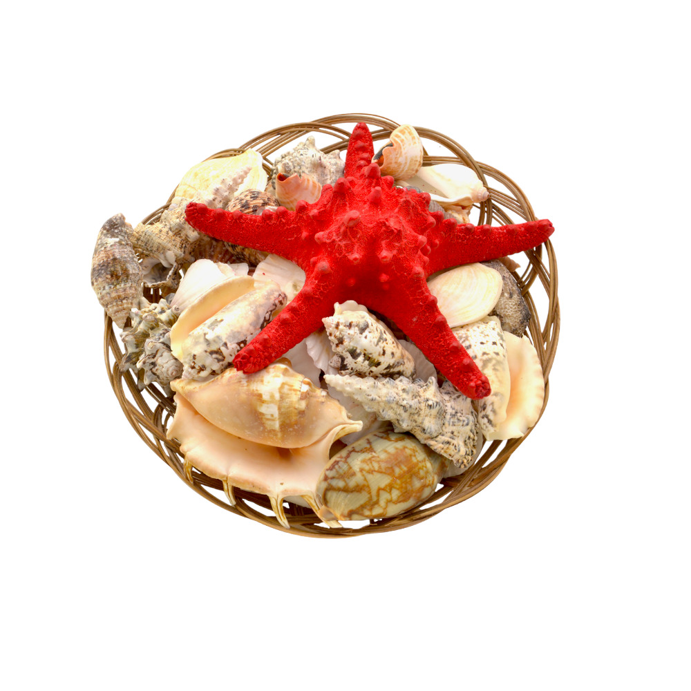 ΚΑΛΑΘΙ ΜΕ ΚΟΧΥΛΙΑ 10"