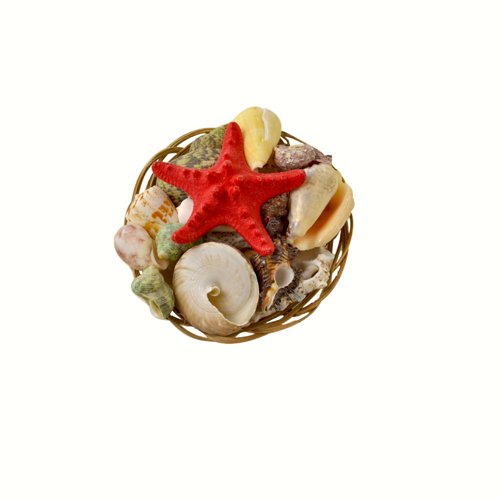 ΚΑΛΑΘΙ ΜΕ ΚΟΧΥΛΙΑ 6"