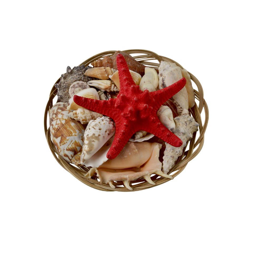 ΚΑΛΑΘΙ ΜΕ ΚΟΧΥΛΙΑ 8"