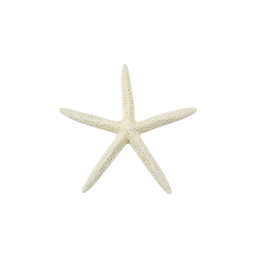 Finger Starfish